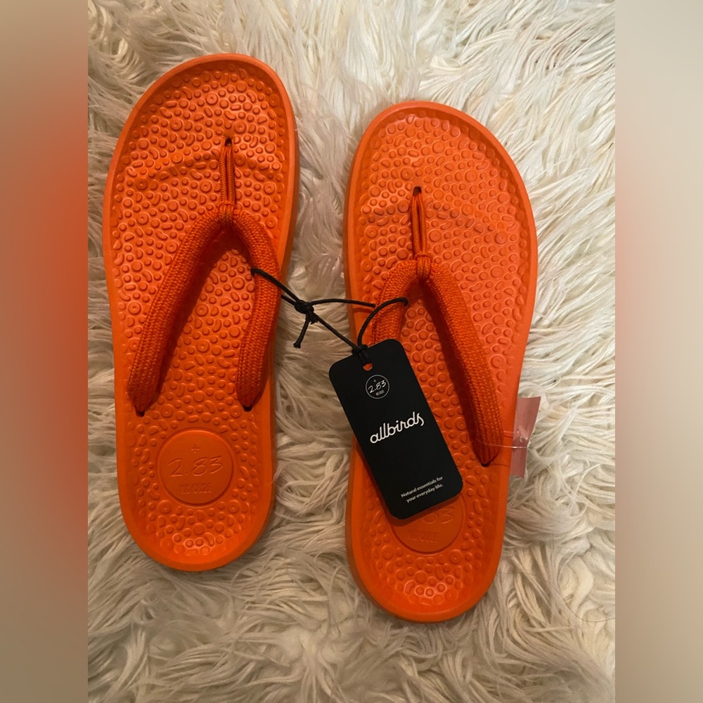 Allbirds Flip Flops
